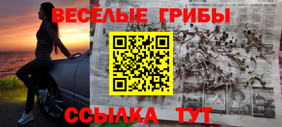 Псилоцибиновые грибы мухоморы  Вход с VPN  Кизляр 