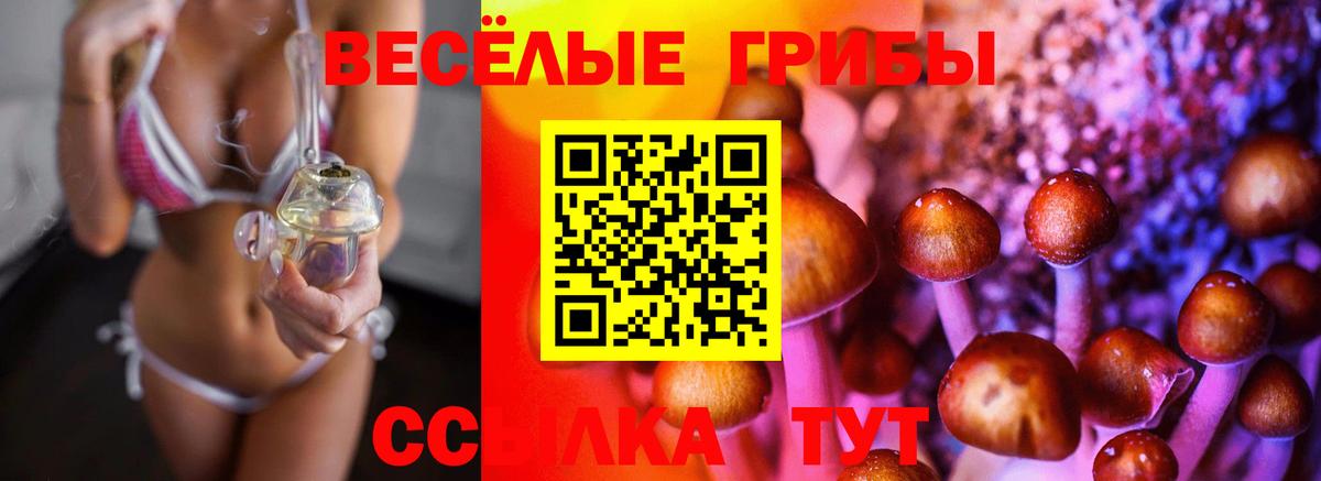 Галлюциногенные грибы прущие грибы Кизляр